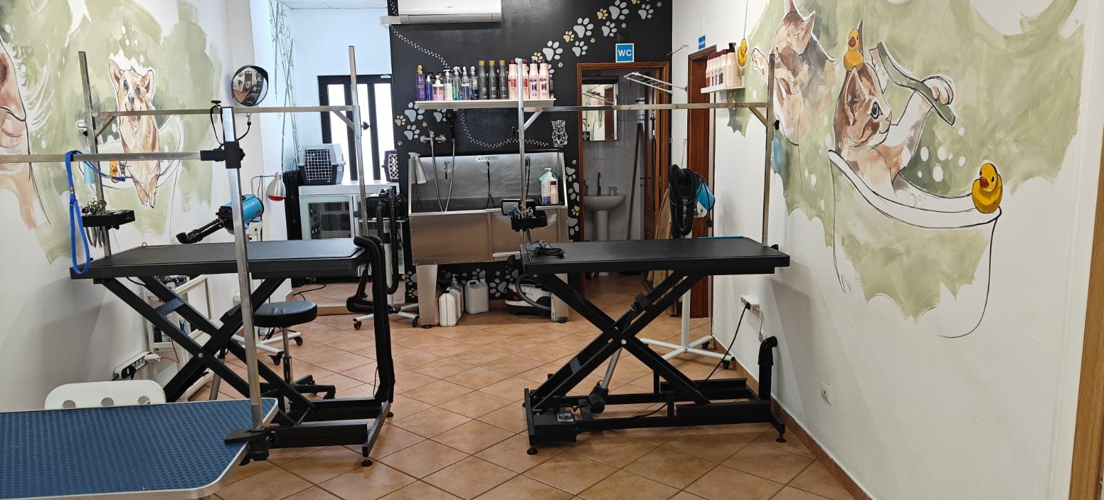 A sala de tosquia da Barbearia do Cão, com murais pintados à mão